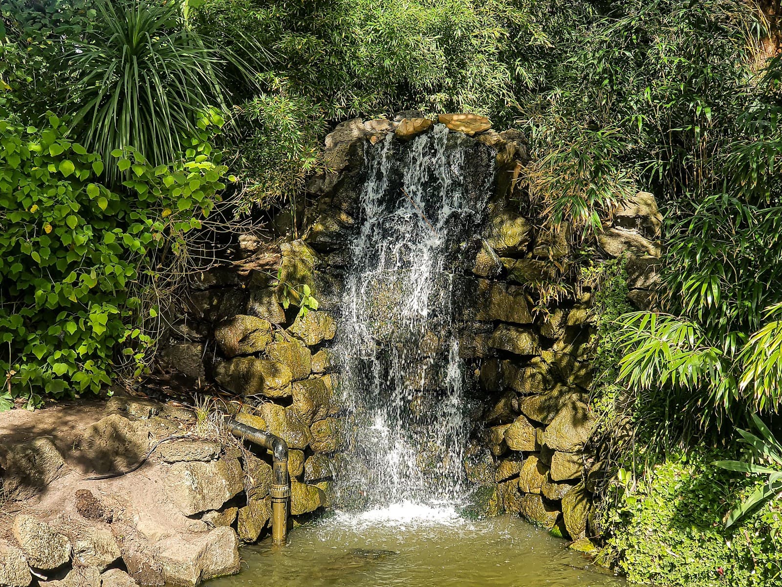 Hedgeley Dene Gardens — Prahran, Melbourne