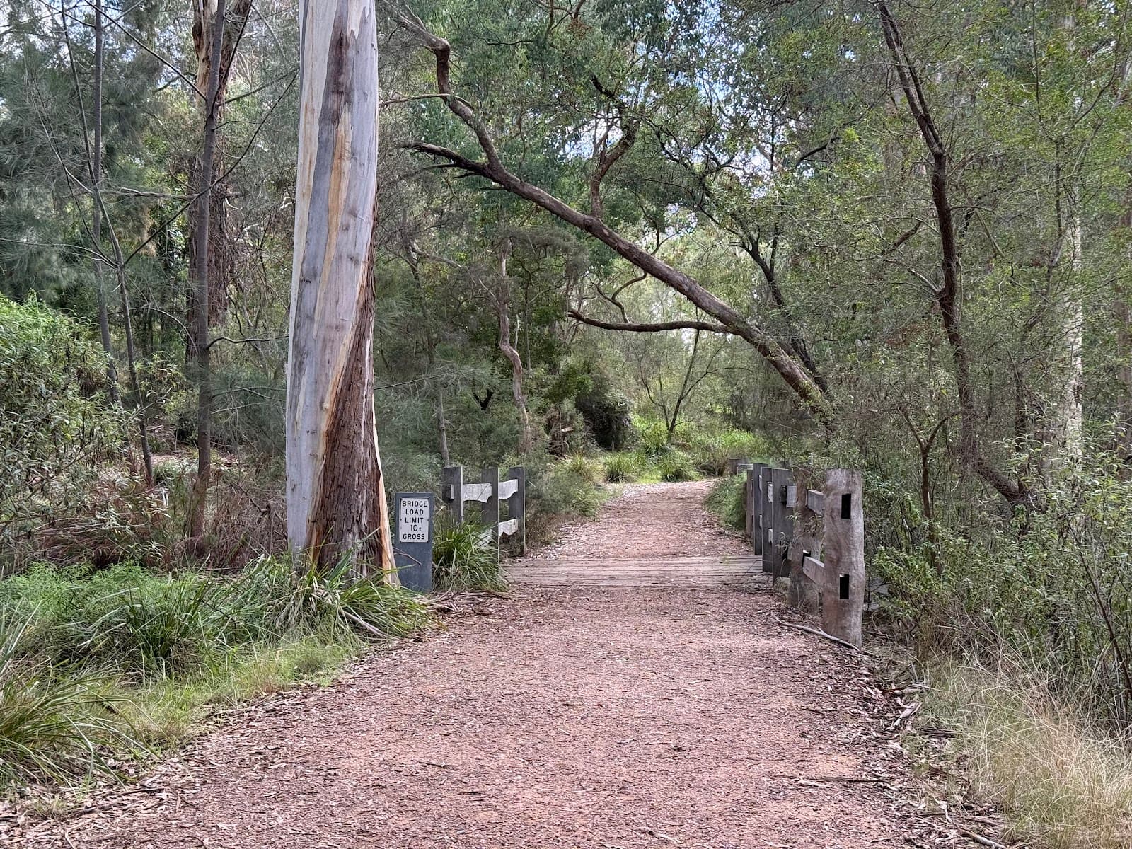Yarran Dheran Nature Reserve — Prahran, Melbourne
