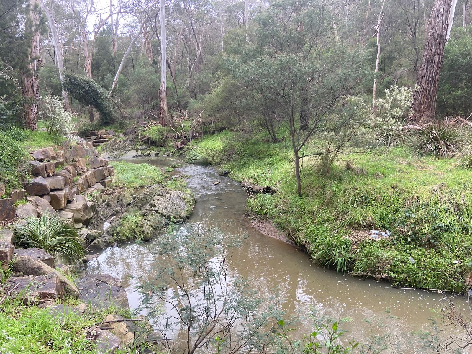 Yarran Dheran Nature Reserve — Prahran, Melbourne