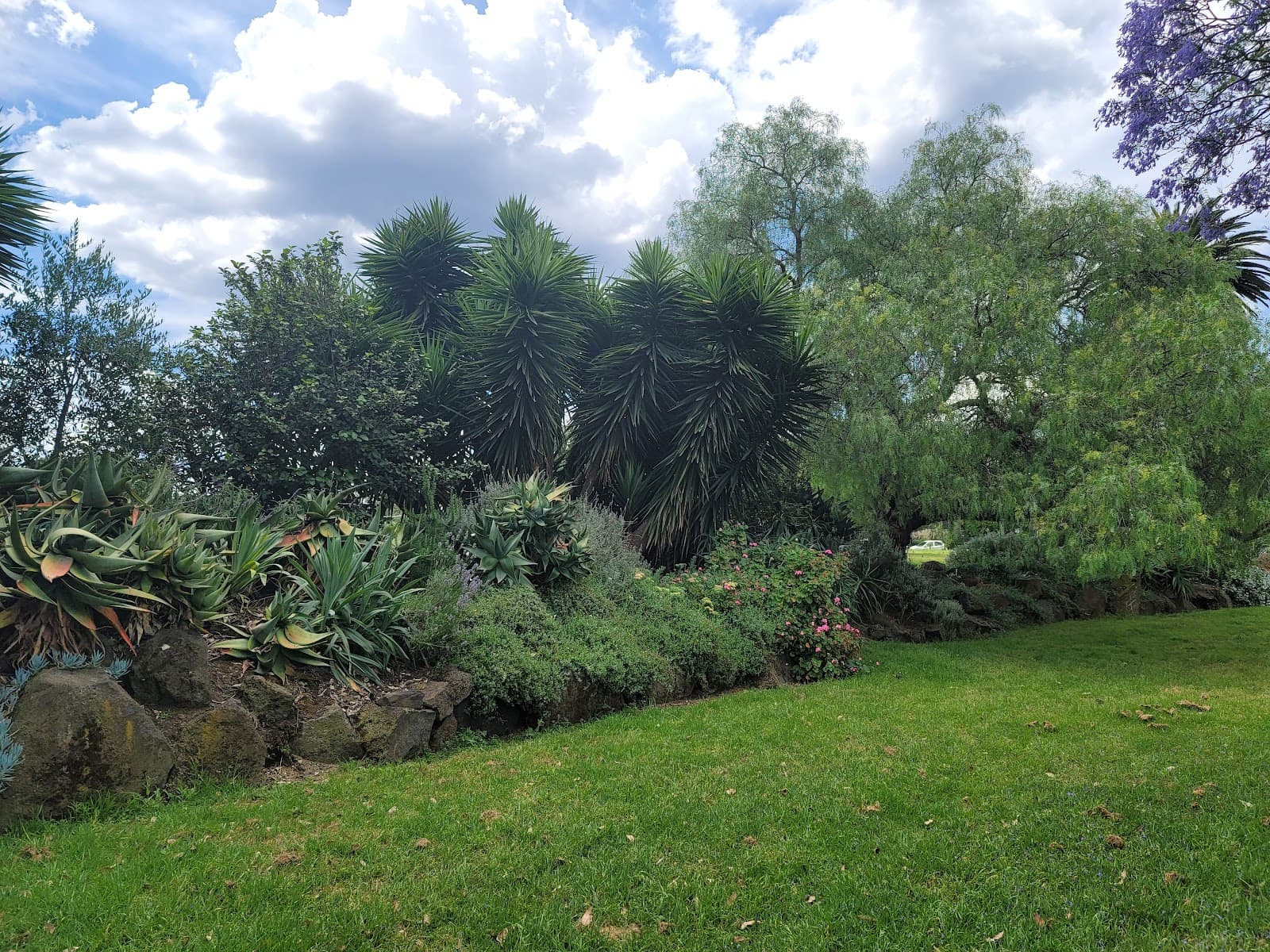 Creswick Street Reserve — Hawthorn, Melbourne
