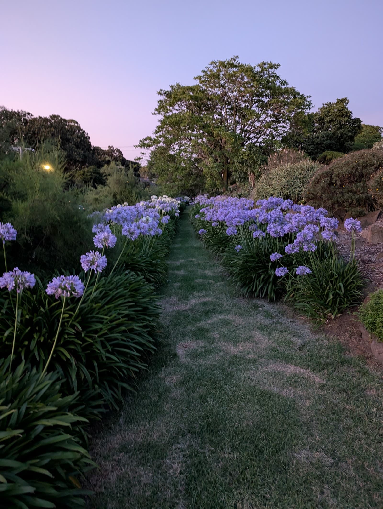 Creswick Street Reserve — Hawthorn, Melbourne
