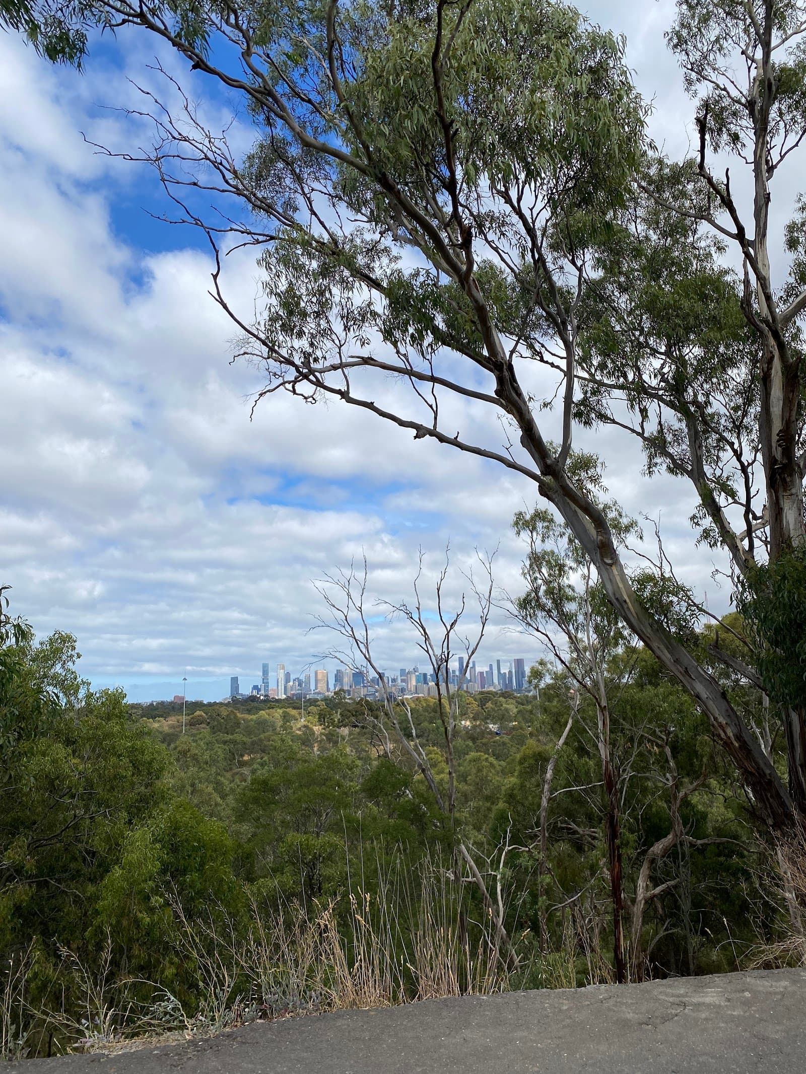 Wurundjeri Spur Lookout — North Melbourne, Melbourne