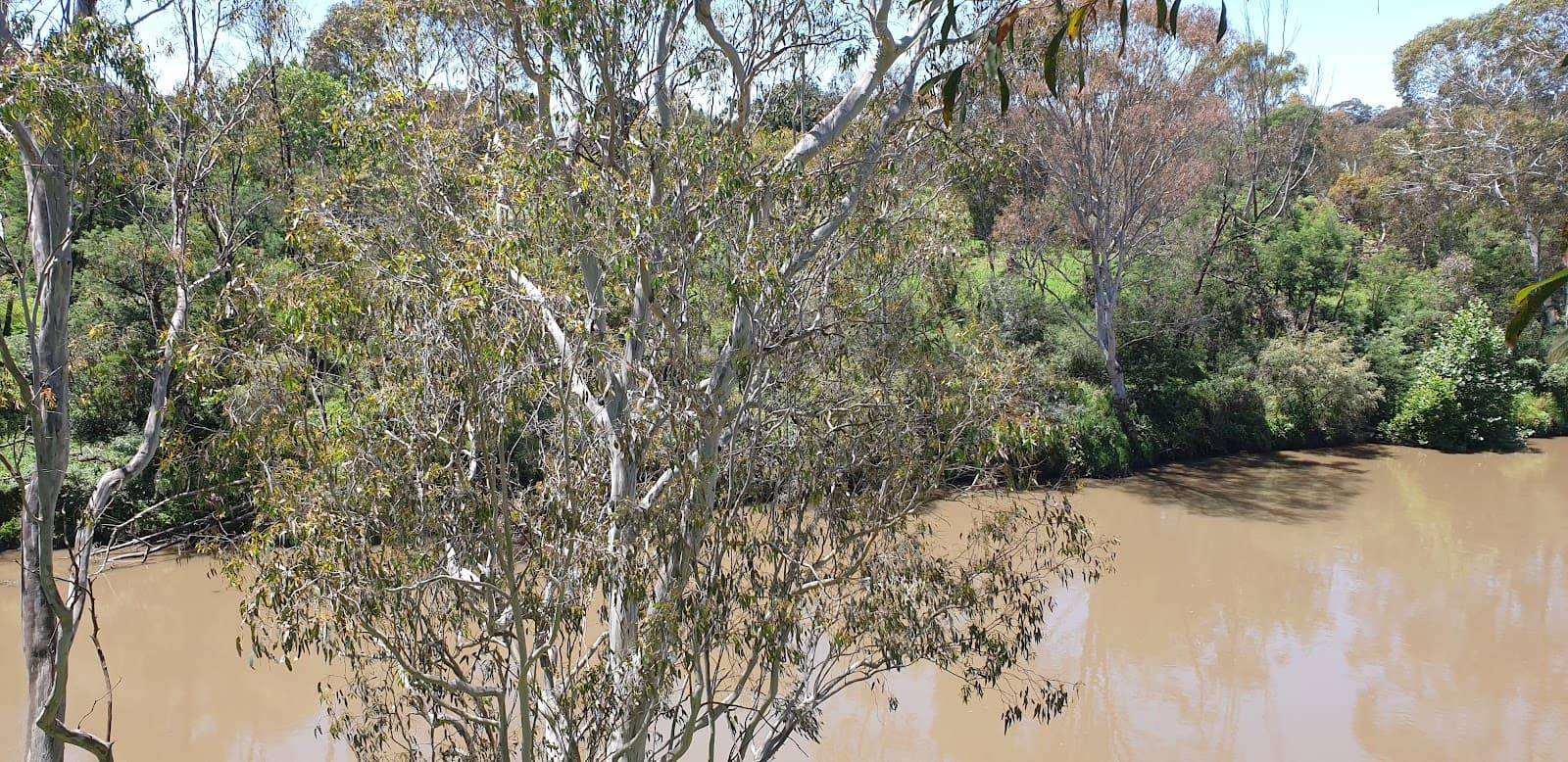 Studley-Yarra Lookout — Kew, Melbourne