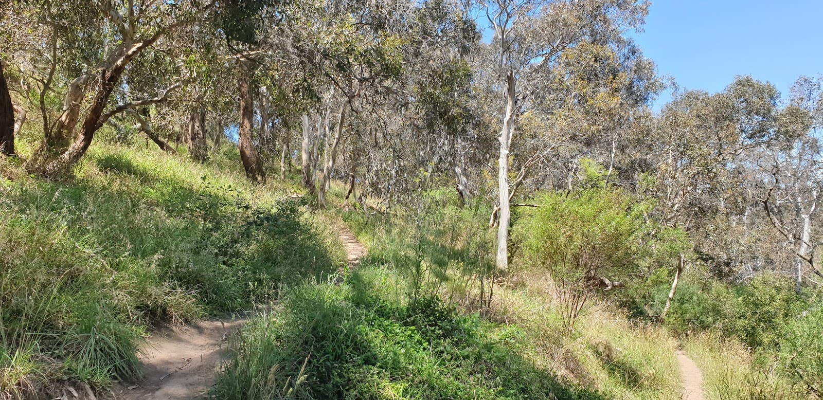 Studley-Yarra Lookout — Kew, Melbourne