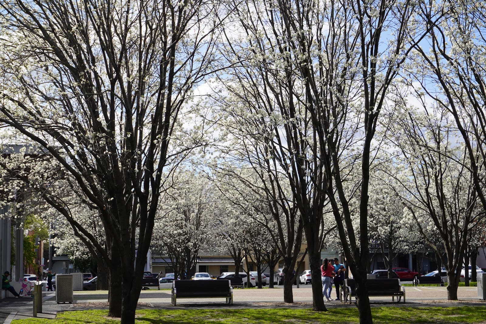 Argyle Square — Carlton, Melbourne