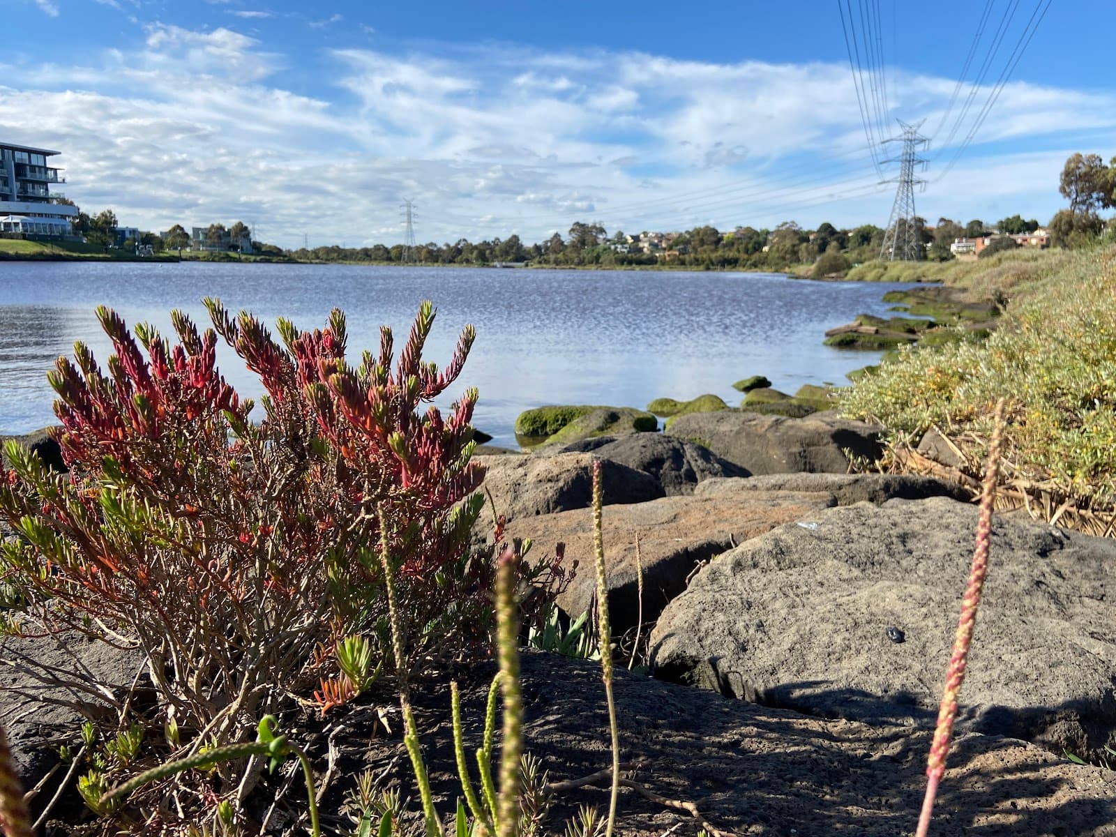 Edgewater's Wetlands — Footscray, Melbourne