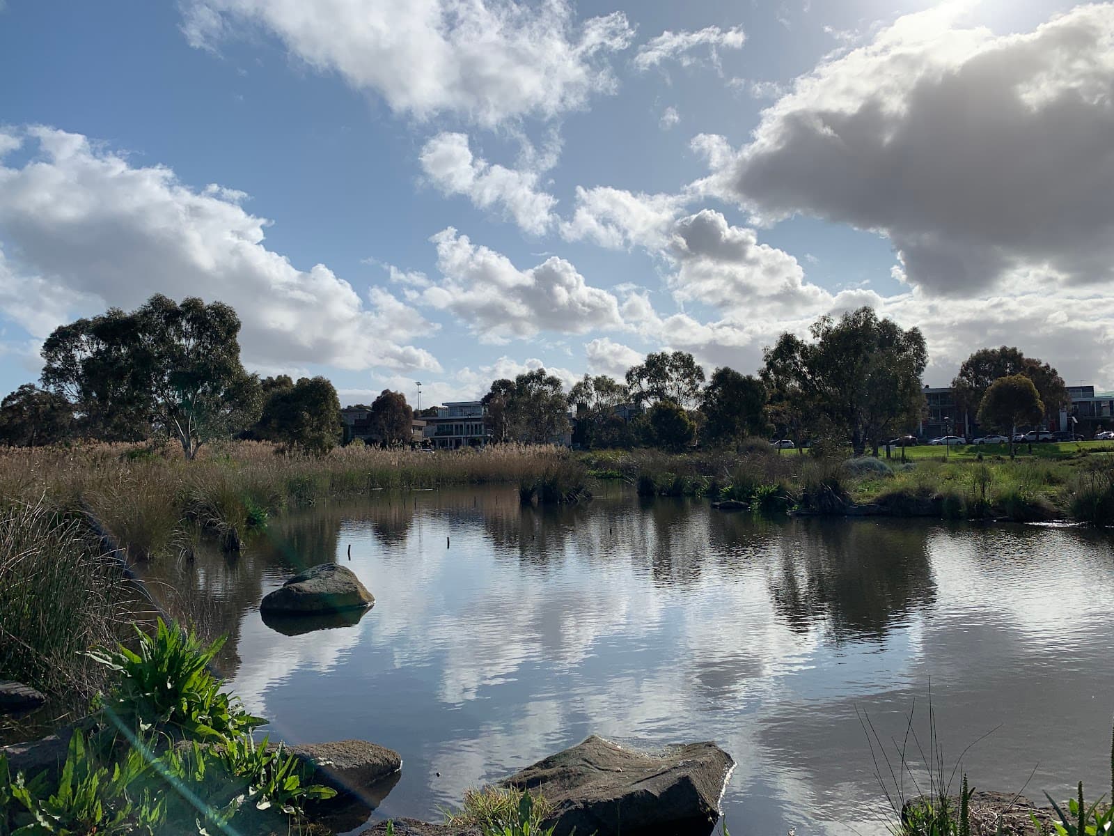 Edgewater's Wetlands — Footscray, Melbourne
