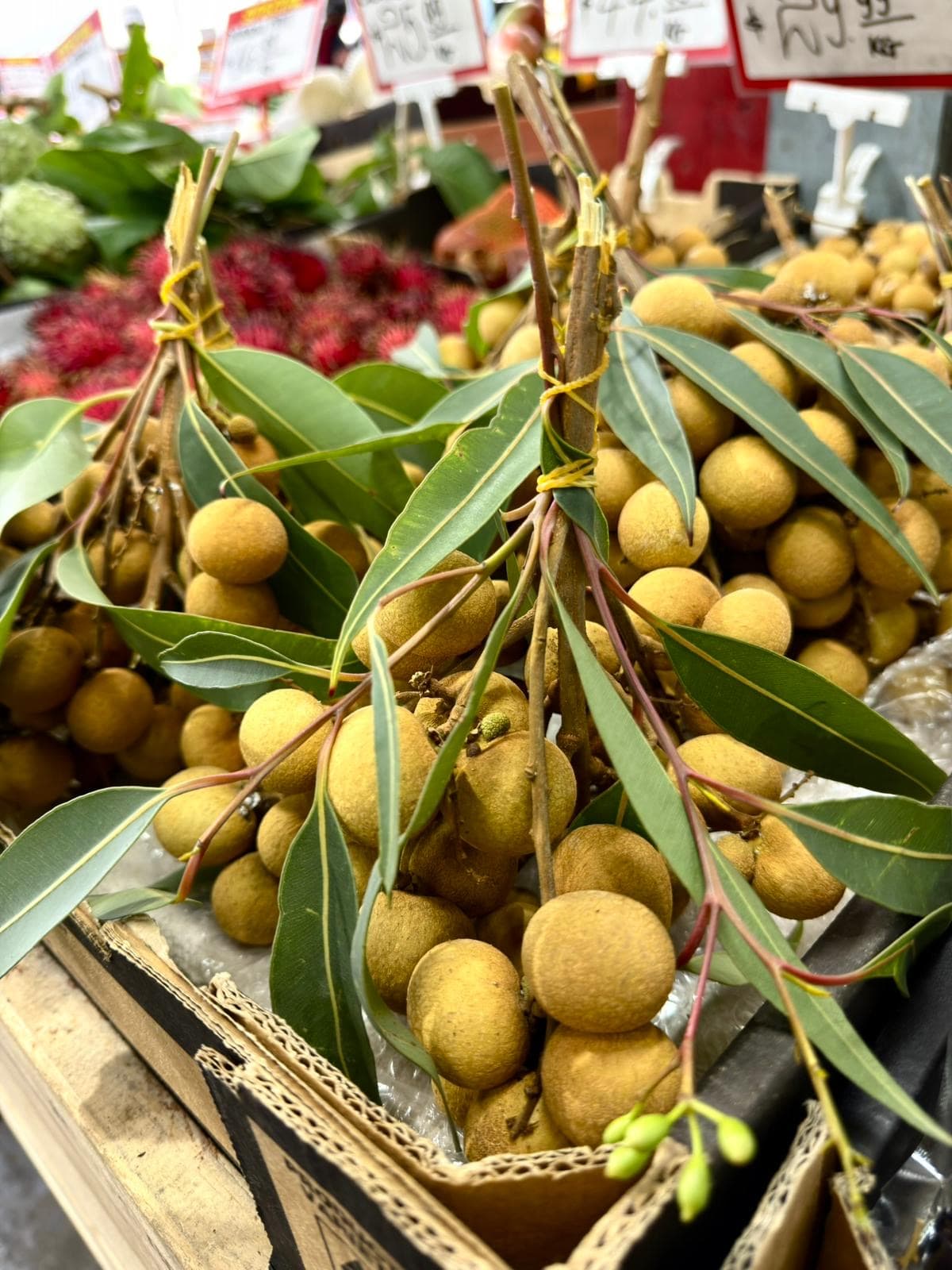 Footscray Market Fruit & Veg — Footscray, Melbourne