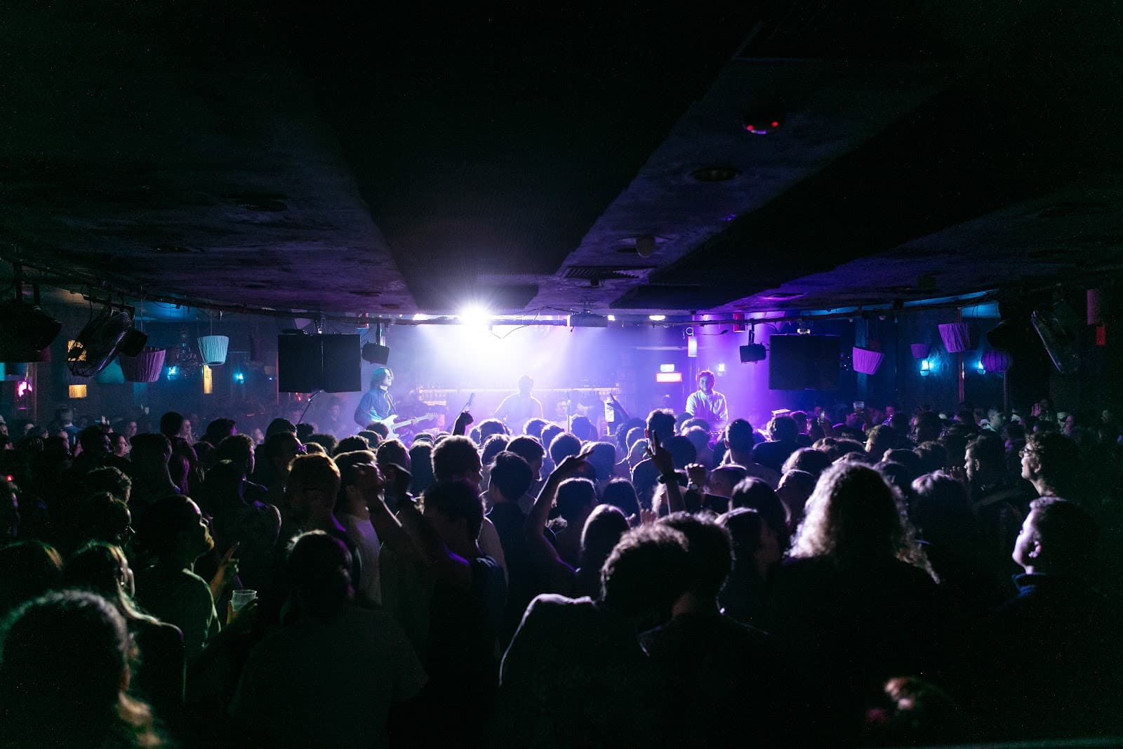 The Night Cat — Carlton, Melbourne