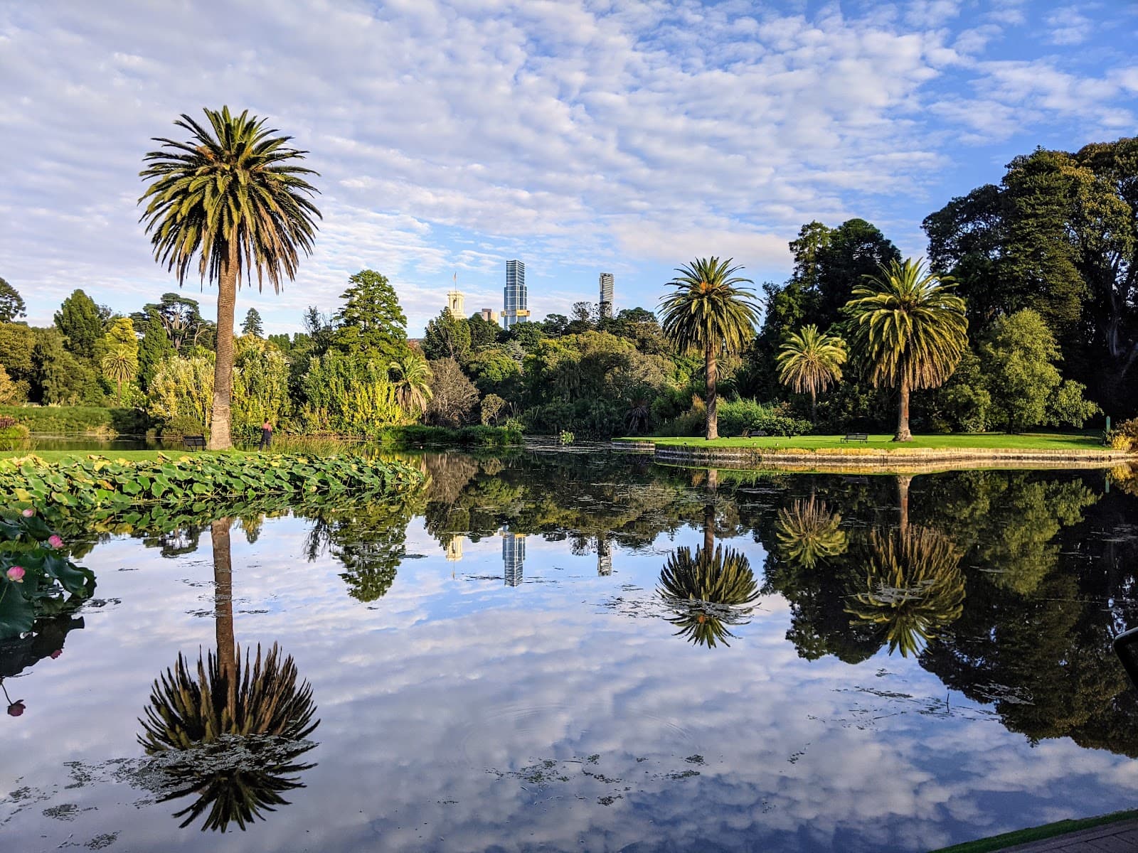 Royal Botanic Gardens Victoria - Melbourne Gardens — North Melbourne, Melbourne