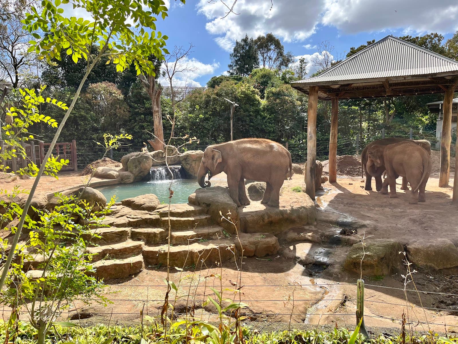 Melbourne Zoo — Carlton, Melbourne