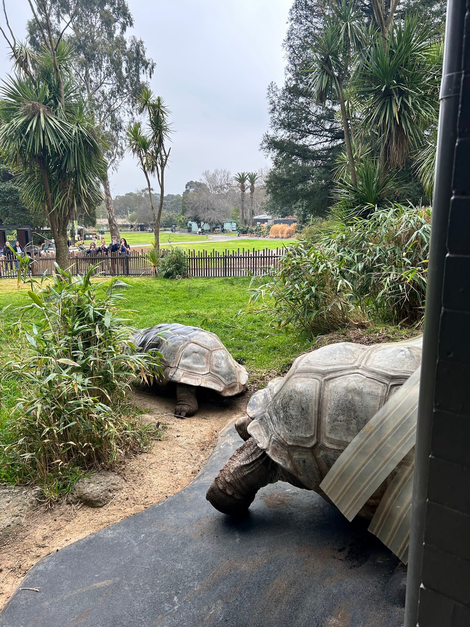 Melbourne Zoo — Carlton, Melbourne