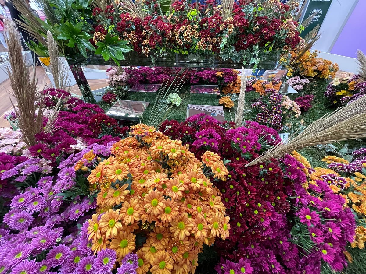 Melbourne flower show — Melbourne