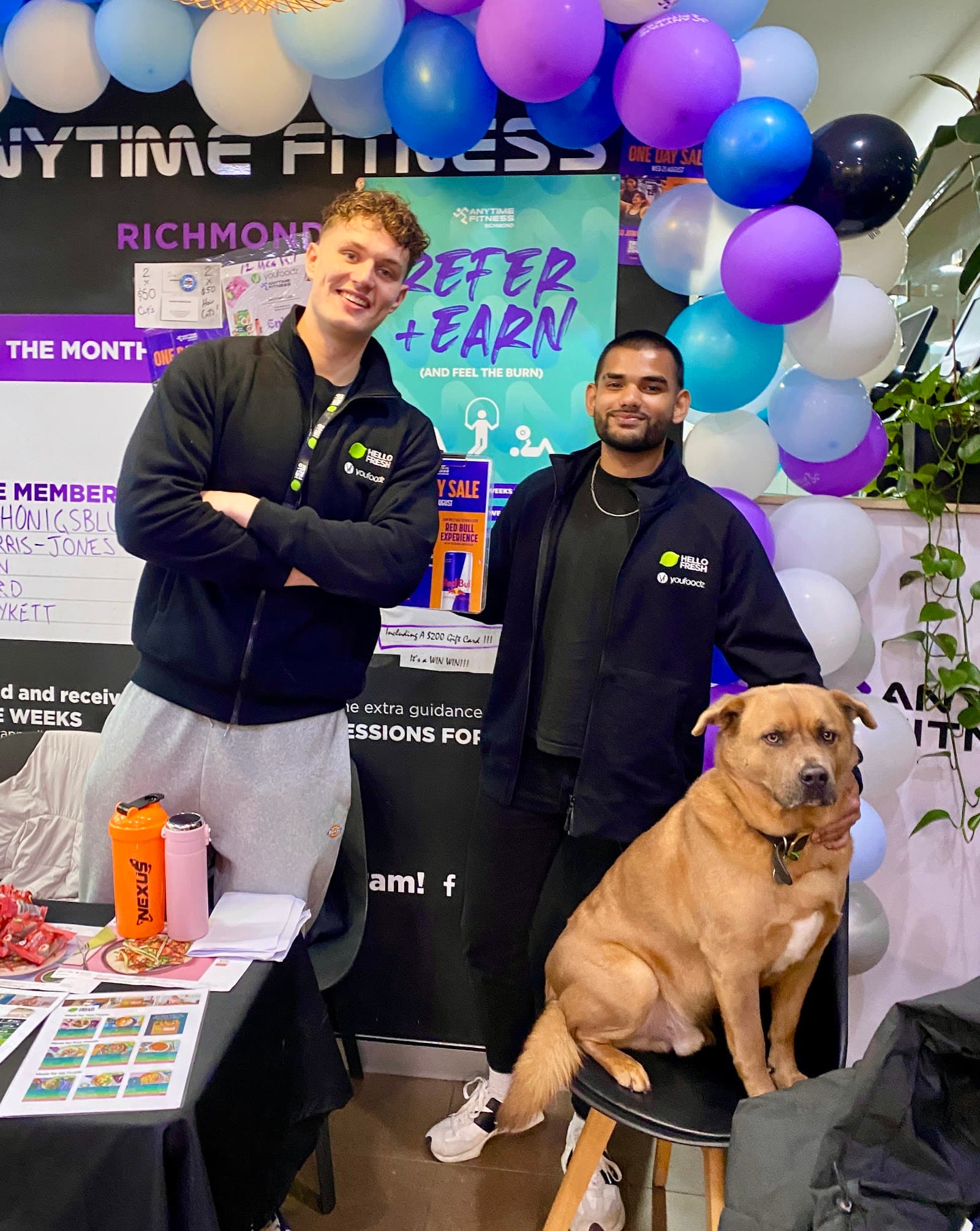 Anytime Fitness Richmond — Richmond, Melbourne