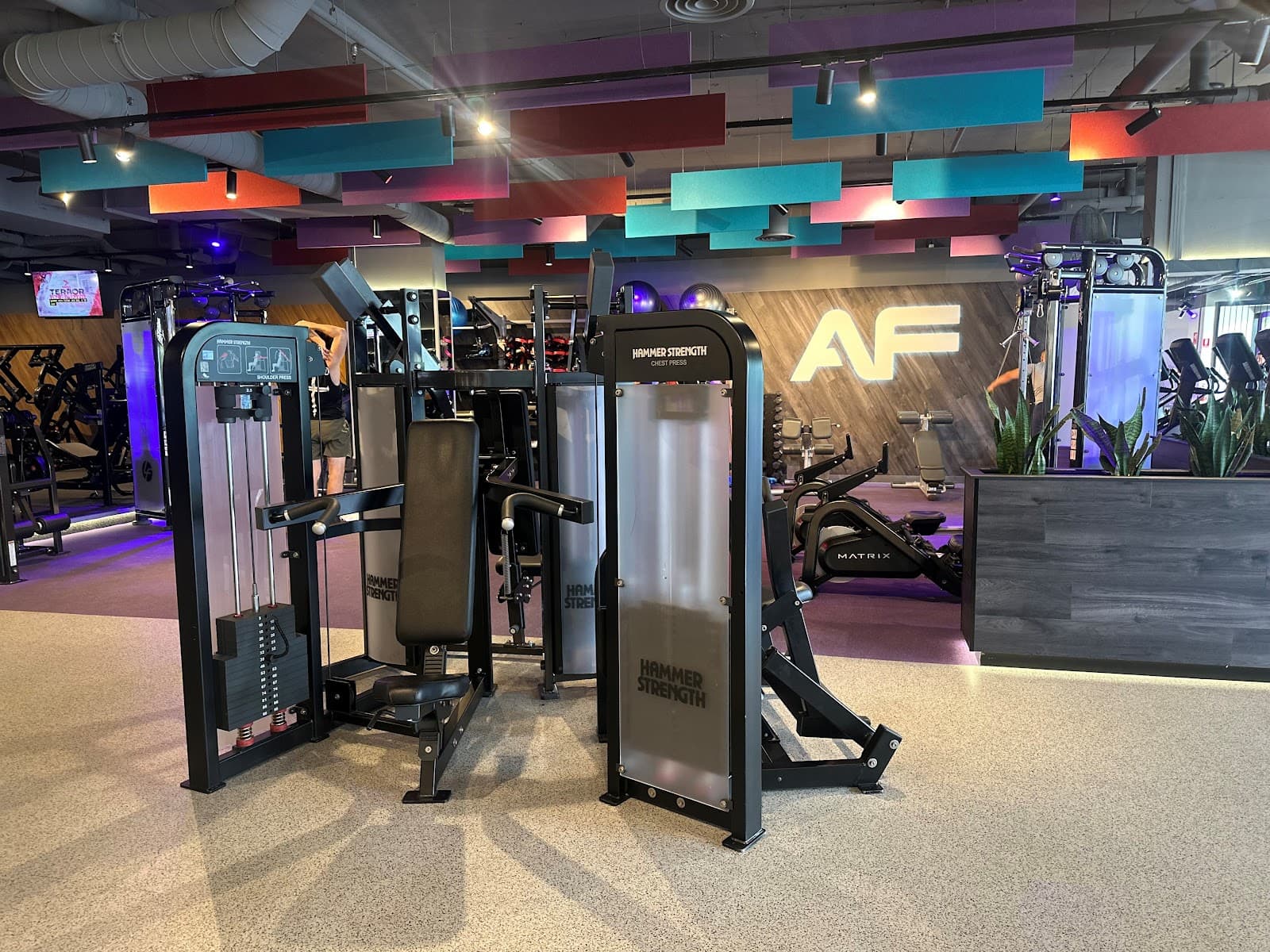 Anytime Fitness St Kilda — St Kilda, Melbourne