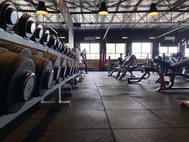 Hustle Wellness Club — St Kilda, Melbourne