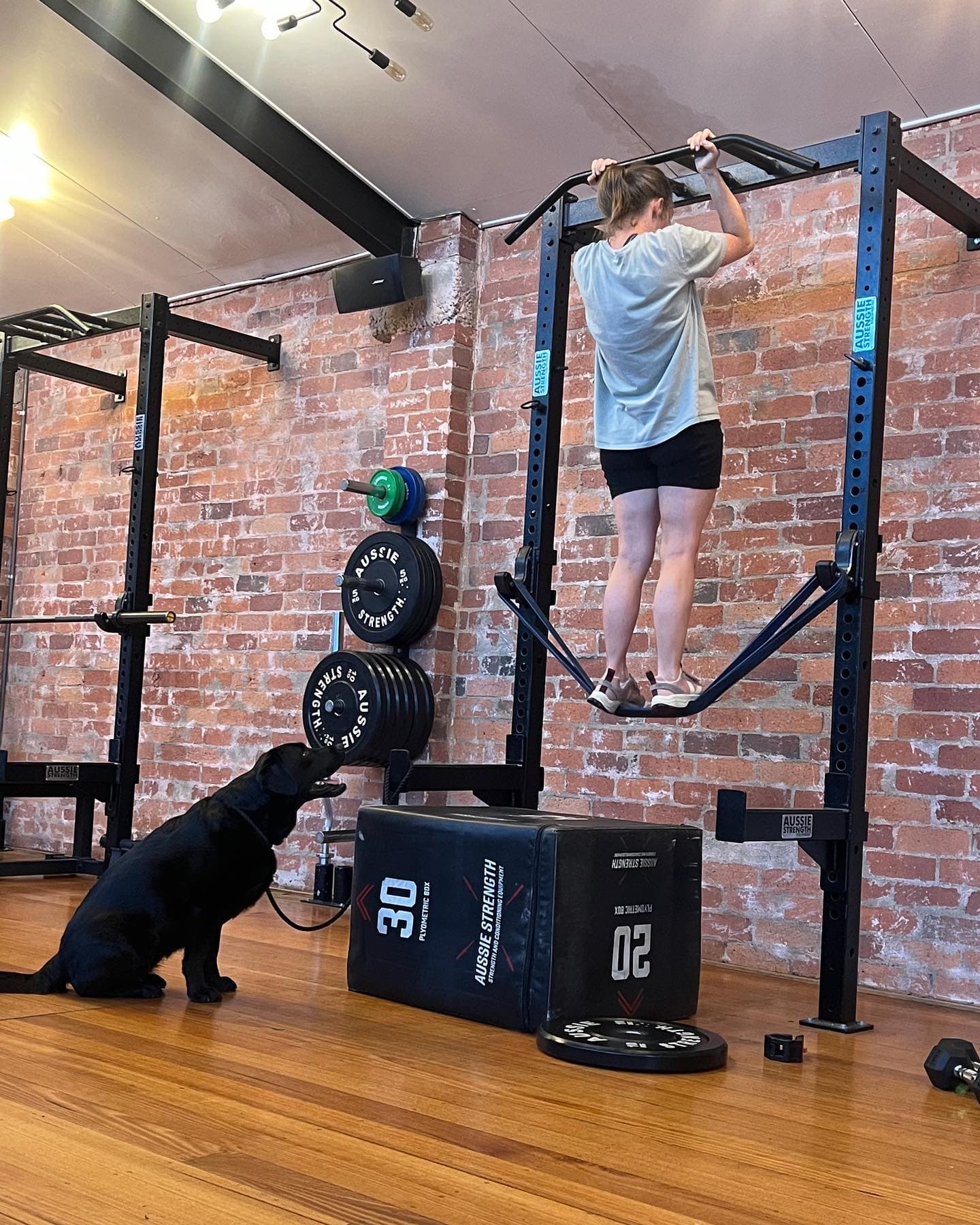 Project Better Brunswick East — Brunswick, Melbourne
