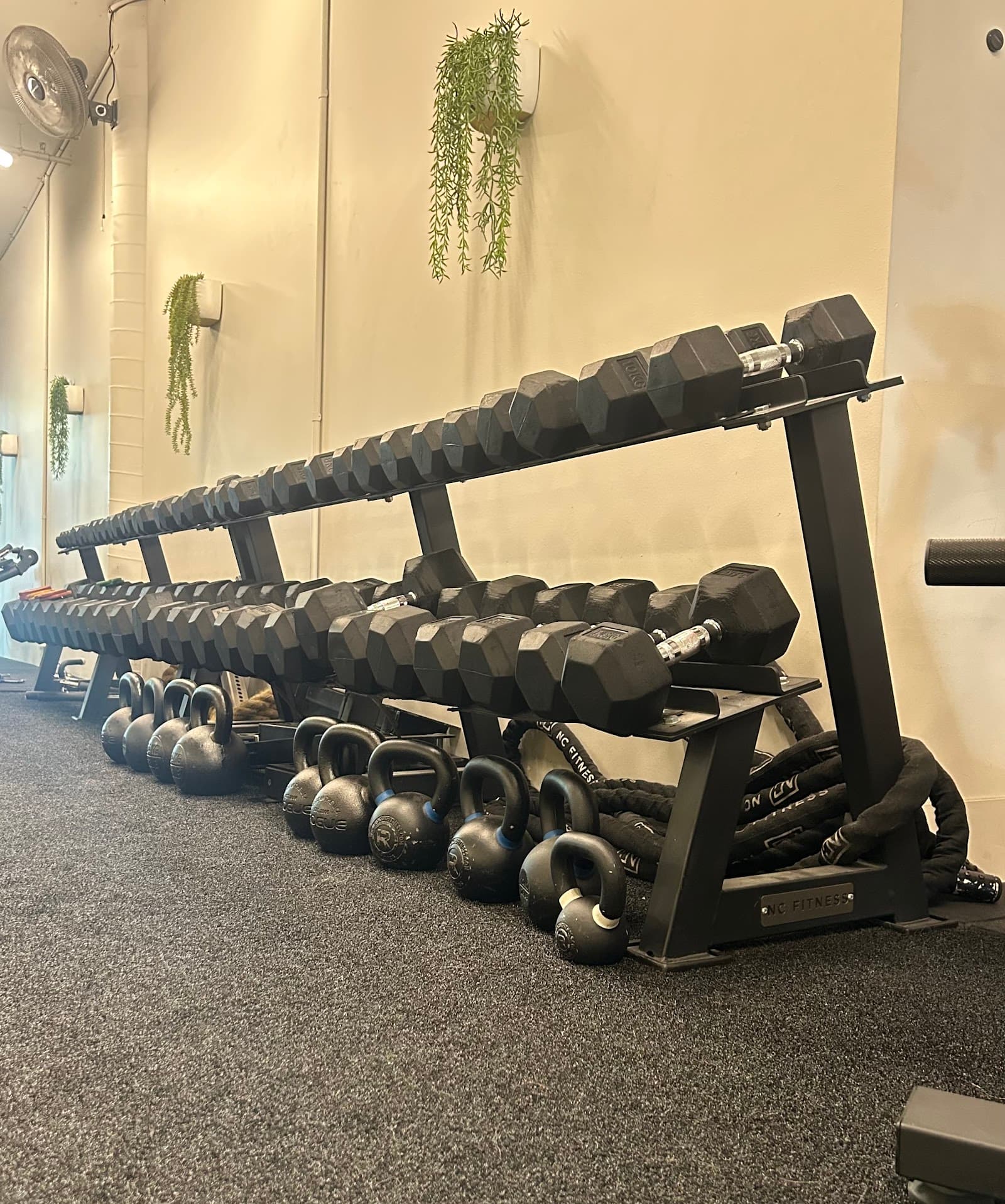 Prahran Strength — Prahran, Melbourne