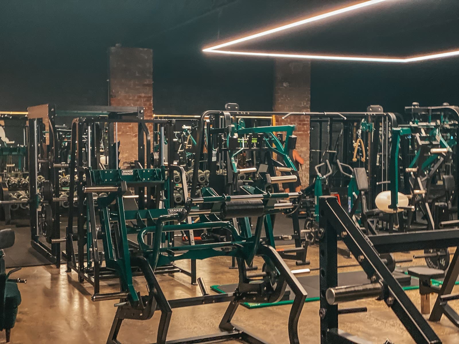 Jungle HQ — Prahran, Melbourne