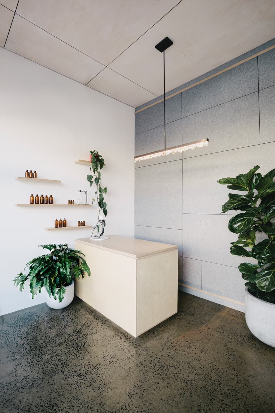 Komyuniti Wellness — Carlton, Melbourne