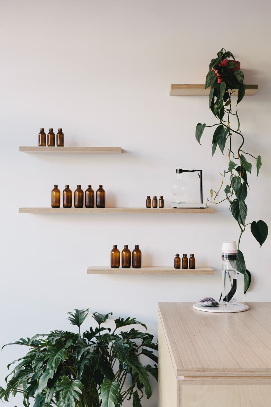 Komyuniti Wellness — Carlton, Melbourne