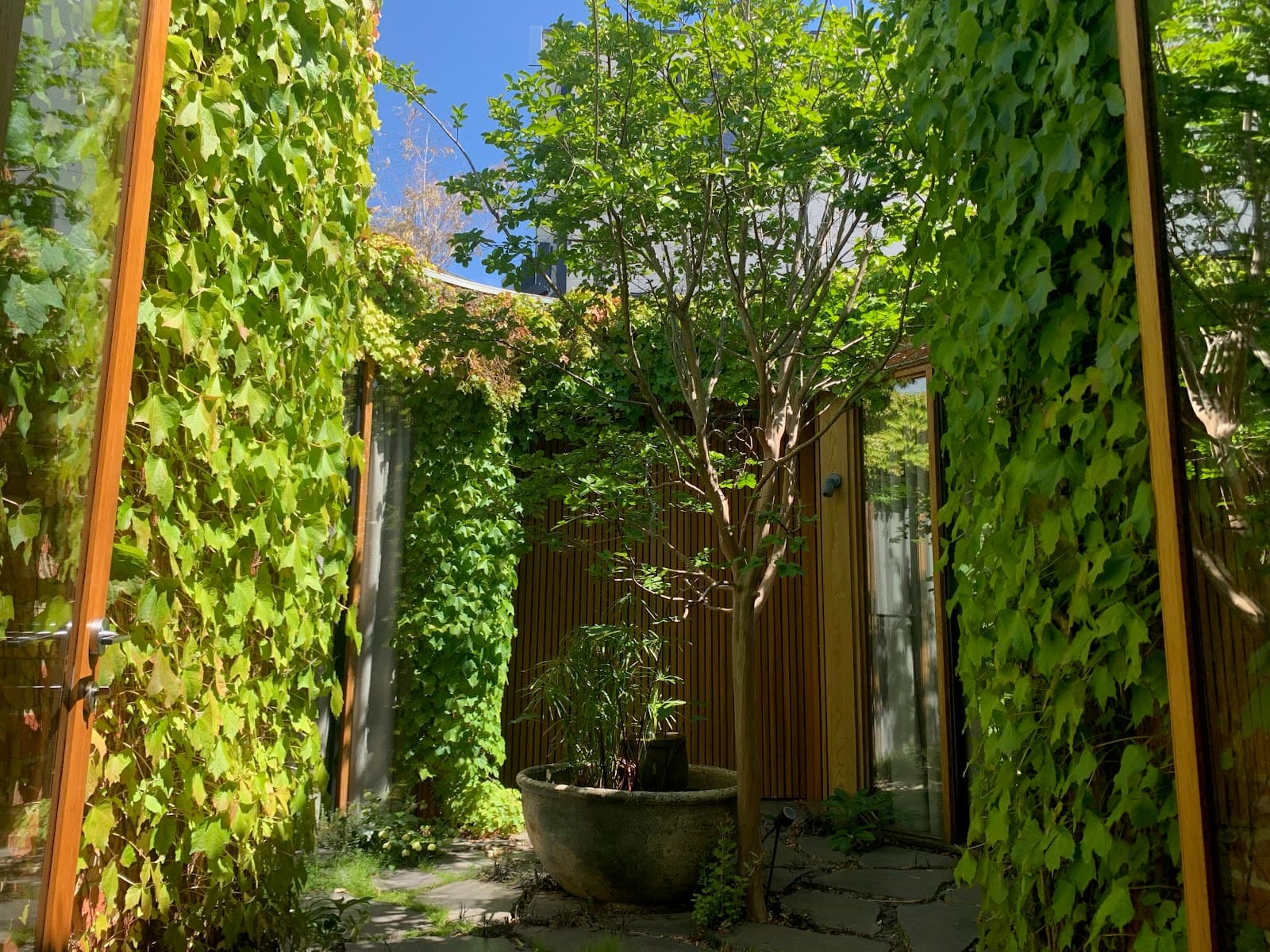 SoulPod Health & Healing — Richmond, Melbourne