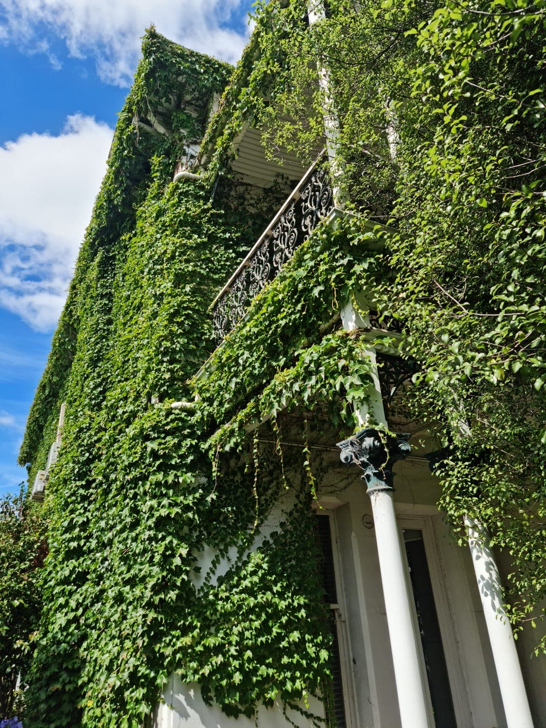 Stable Health - St Kilda — St Kilda, Melbourne
