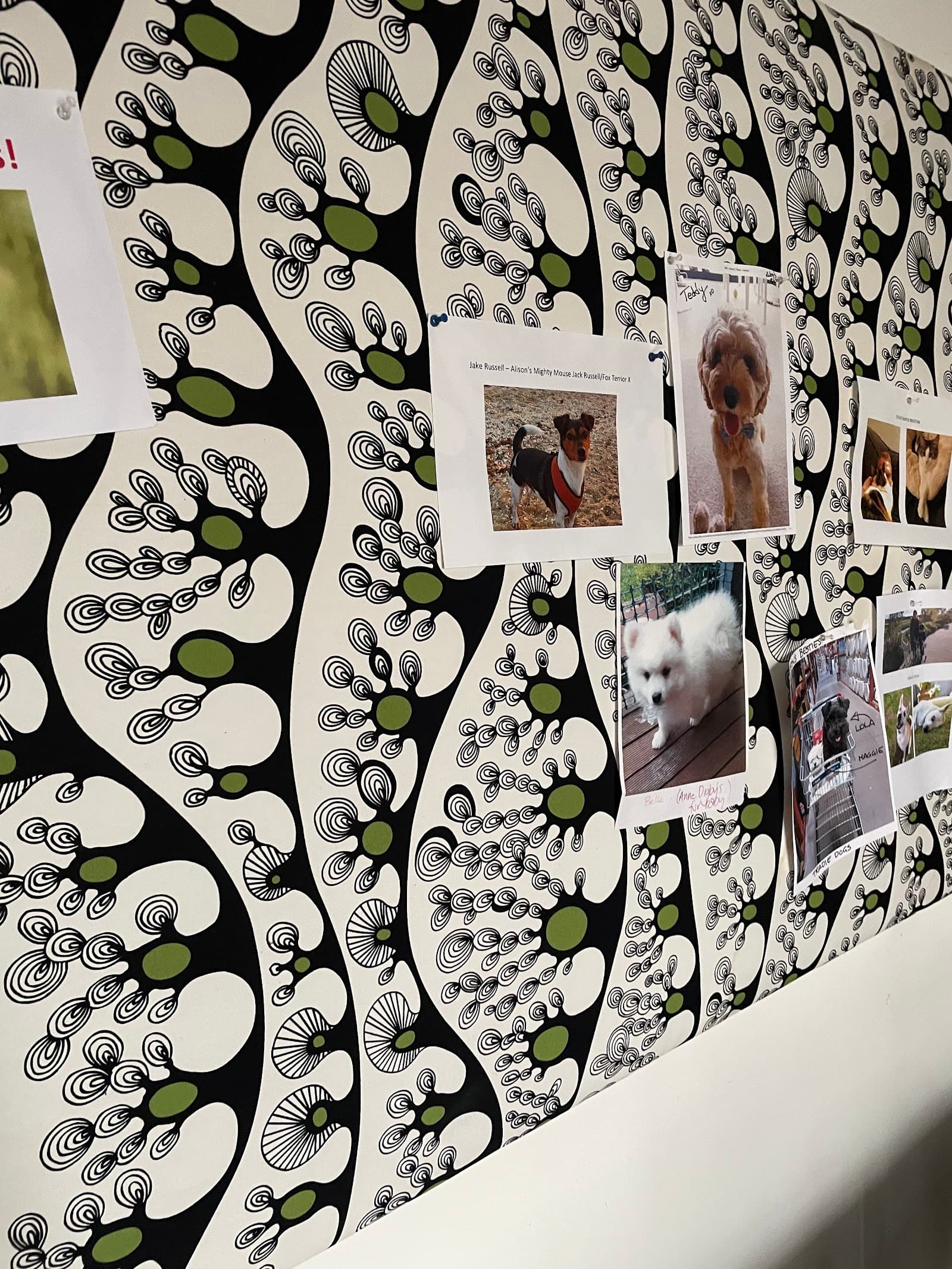 The Practice Wellbeing Centre @ Torrens University — Melbourne