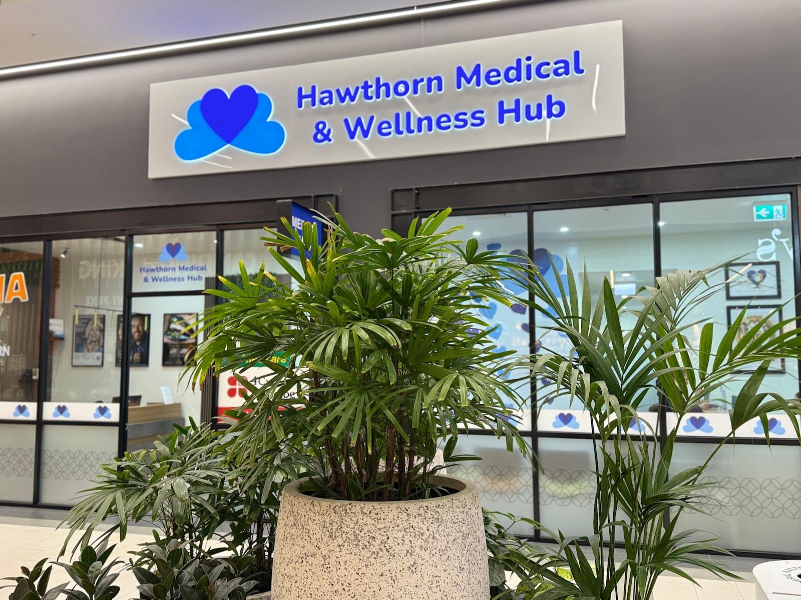 Hawthorn Medical and Wellness Hub — Hawthorn, Melbourne