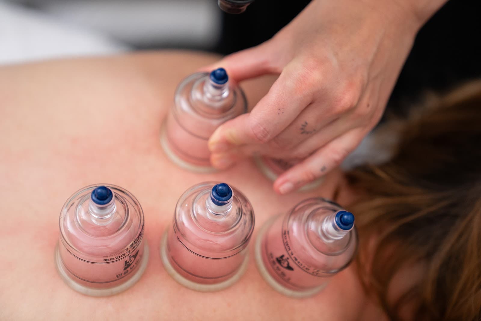 Northeast Wellness — Hawthorn, Melbourne