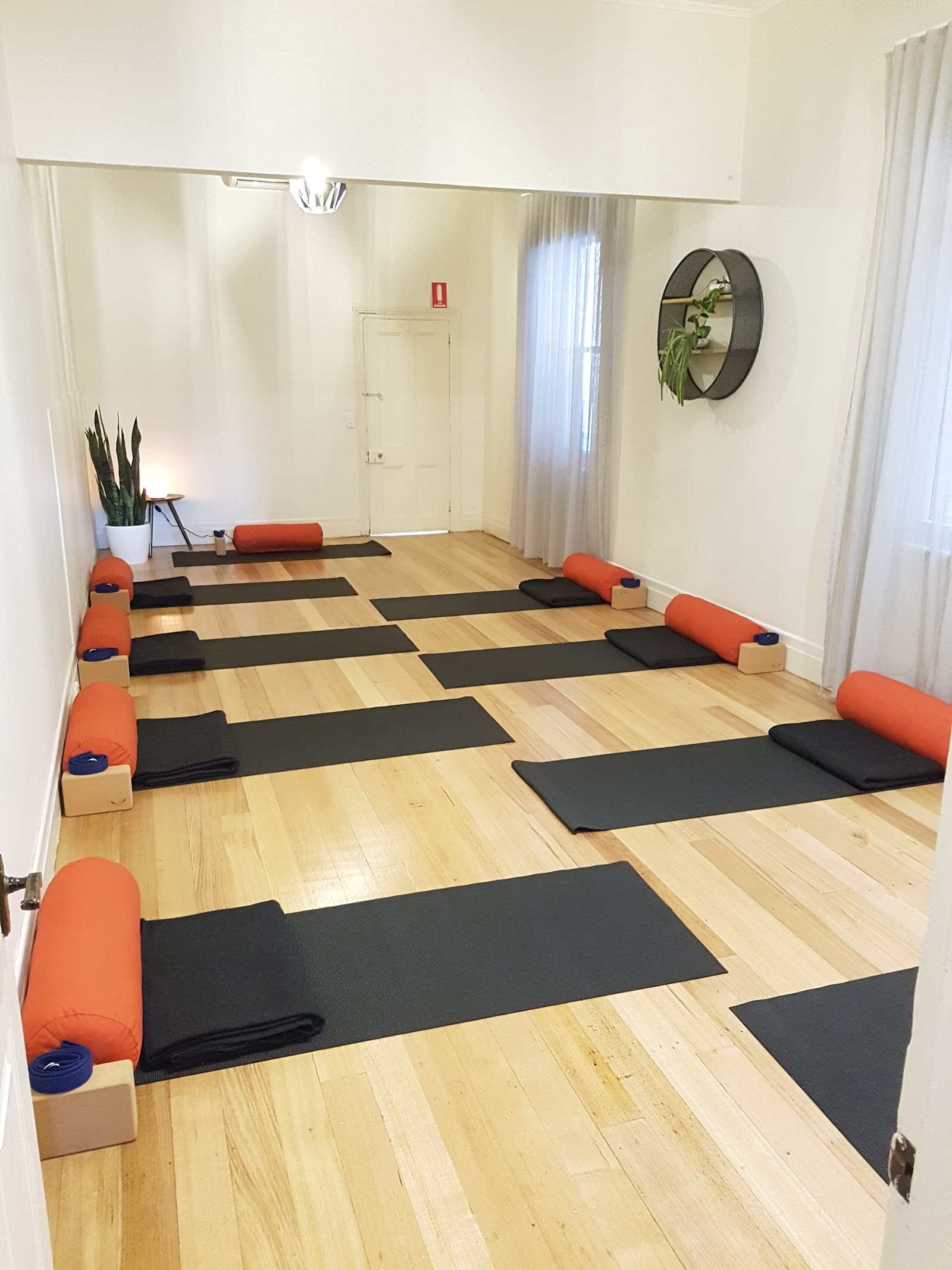 Alive Physio & Wellness — Hawthorn, Melbourne