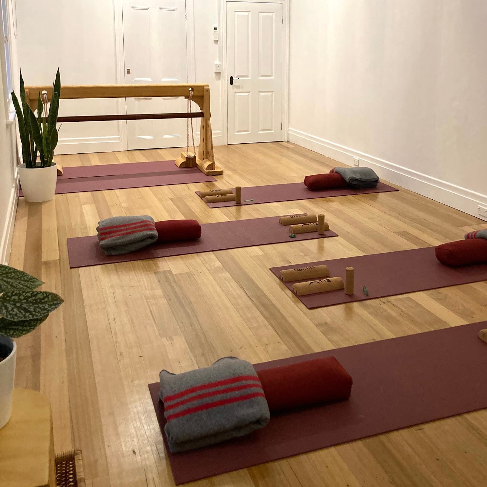 Alive Physio & Wellness — Hawthorn, Melbourne