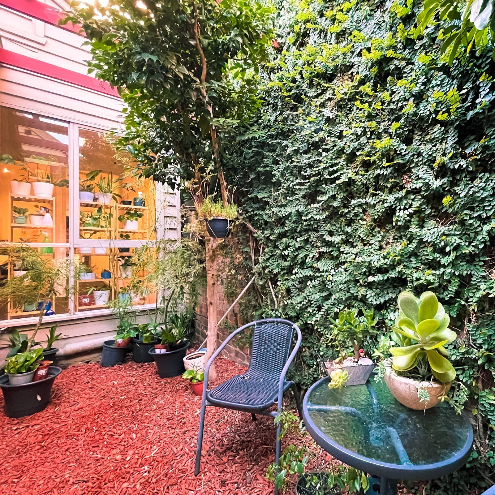 Holistic Balance Myotherapy - Remedial Massage, Dry Needling, Cupping Therapy — Hawthorn, Melbourne