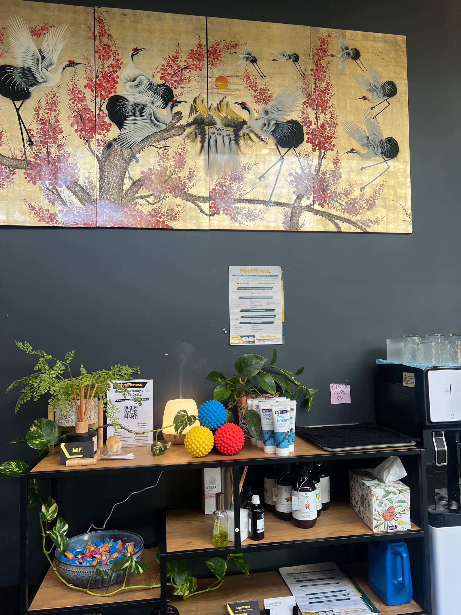 MyoFitness - Myotherapy & Remedial Massage Melbourne — North Melbourne, Melbourne