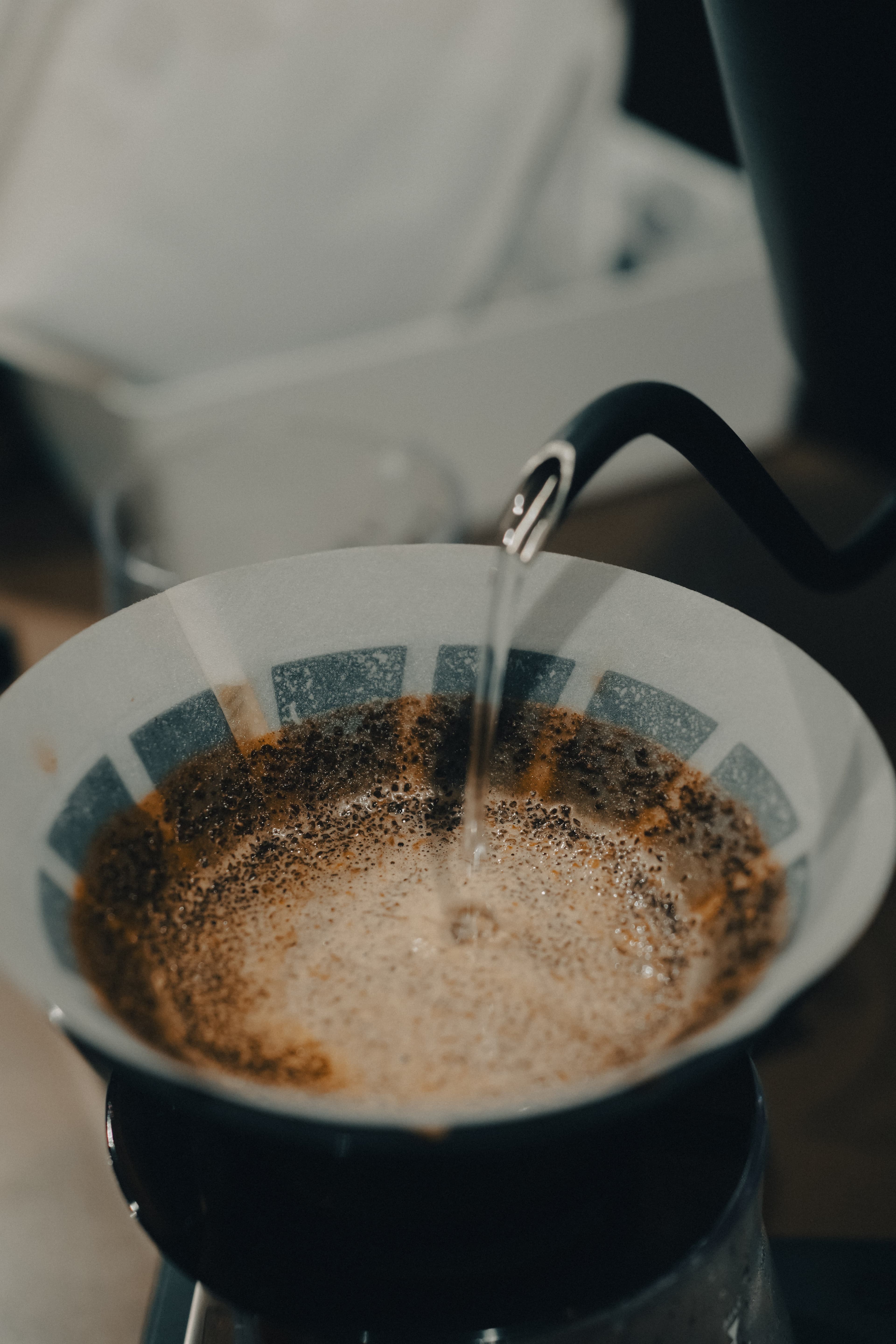 Project Zero Coffee Meriton Suites