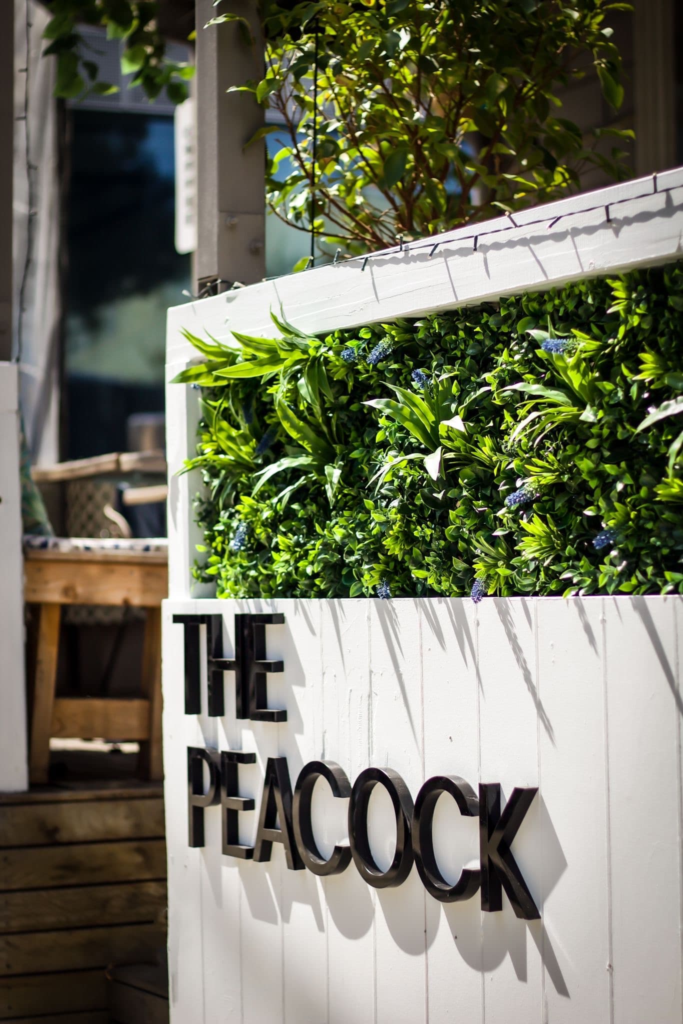 The Peacock South Yarra