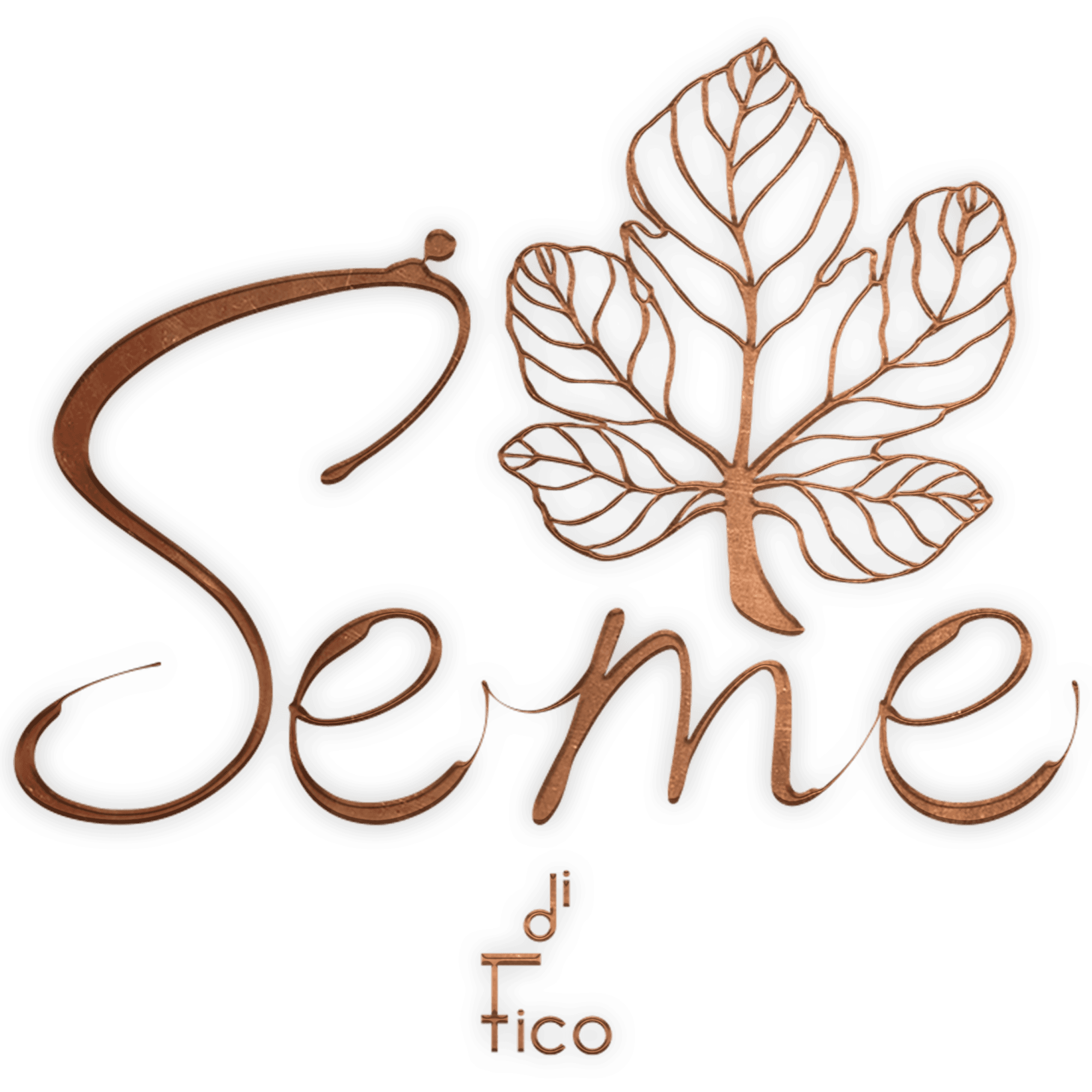 Seme di Fico