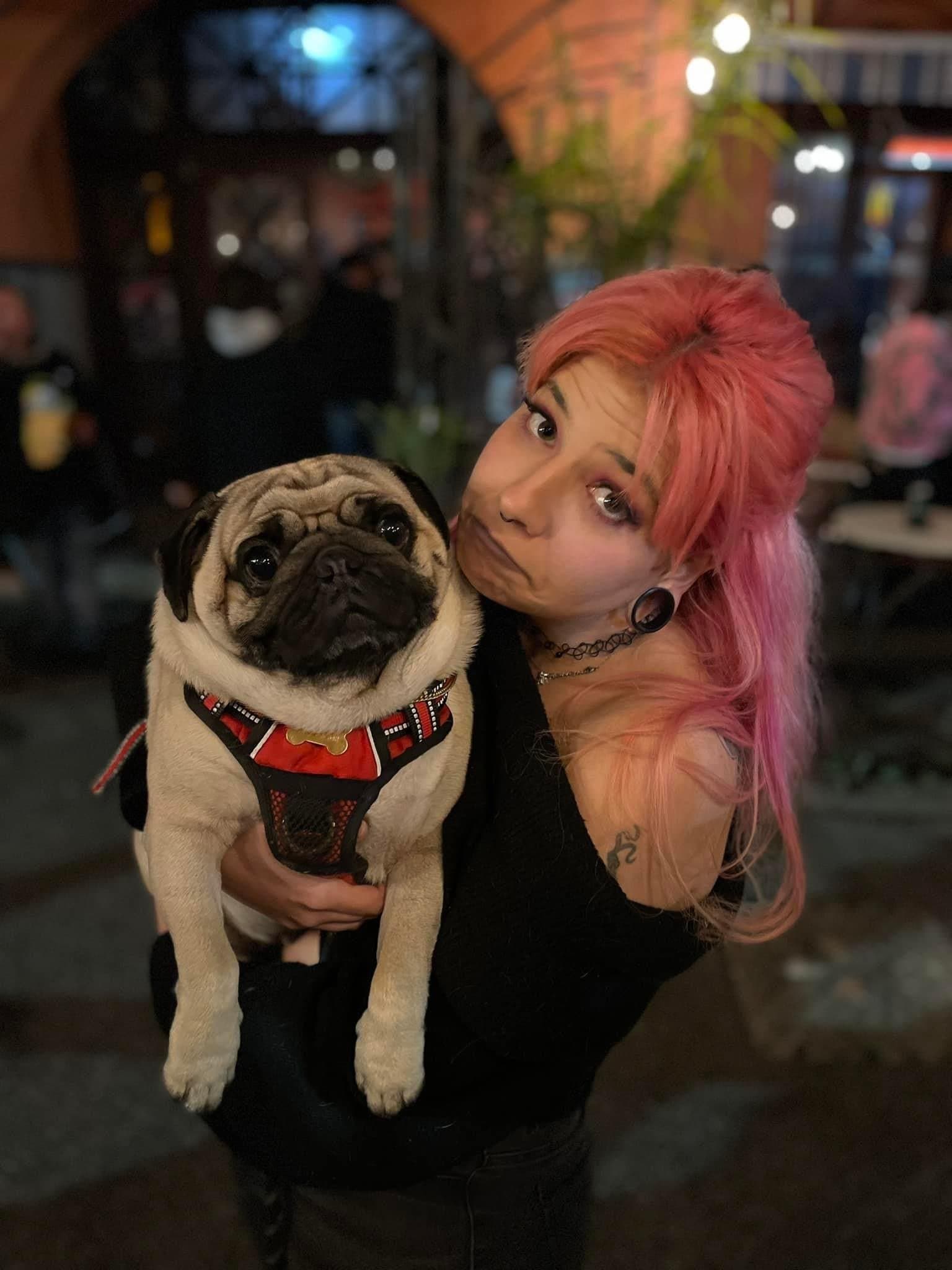 Dogs Bar