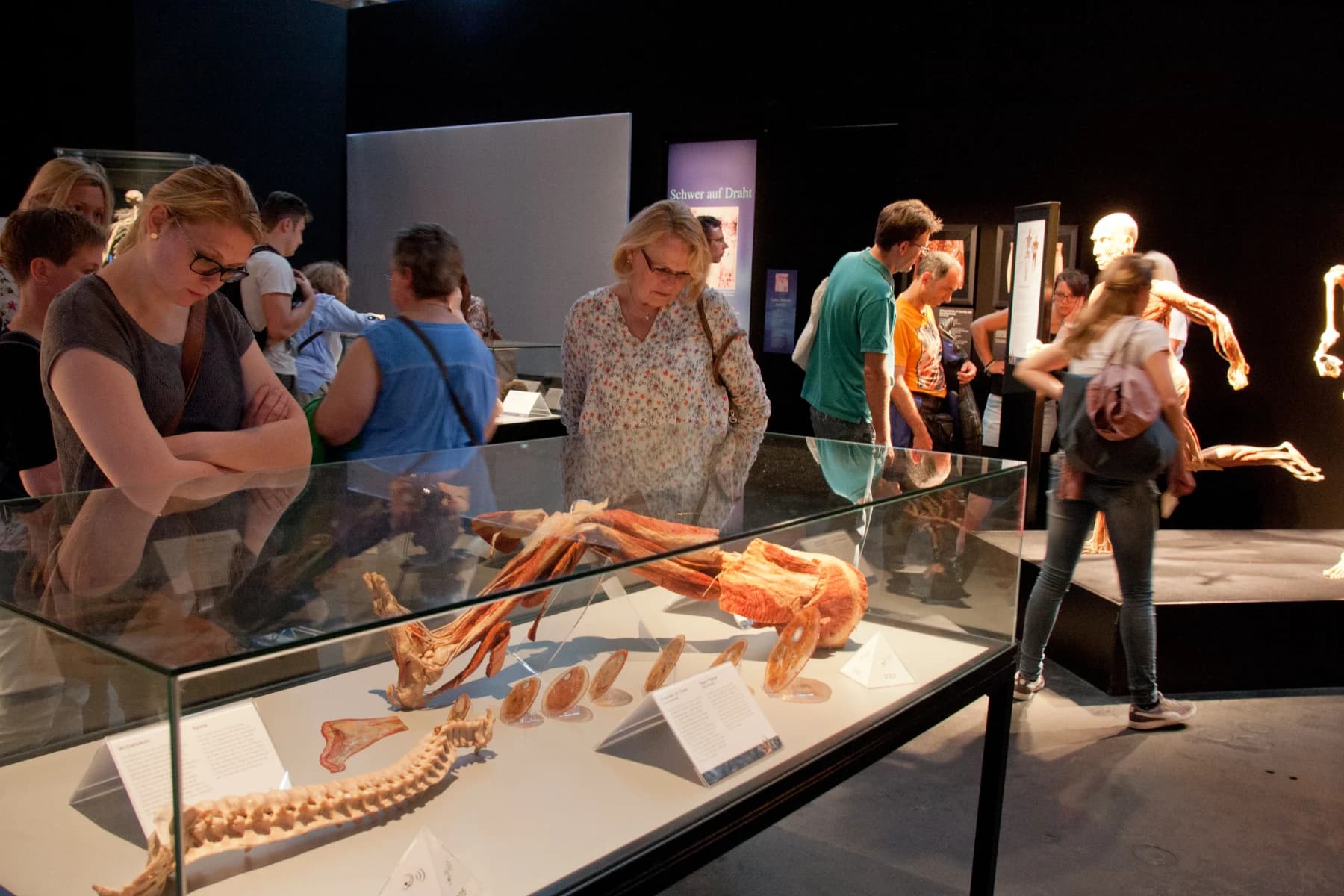 BODY WORLDS: The Anatomy of Happiness