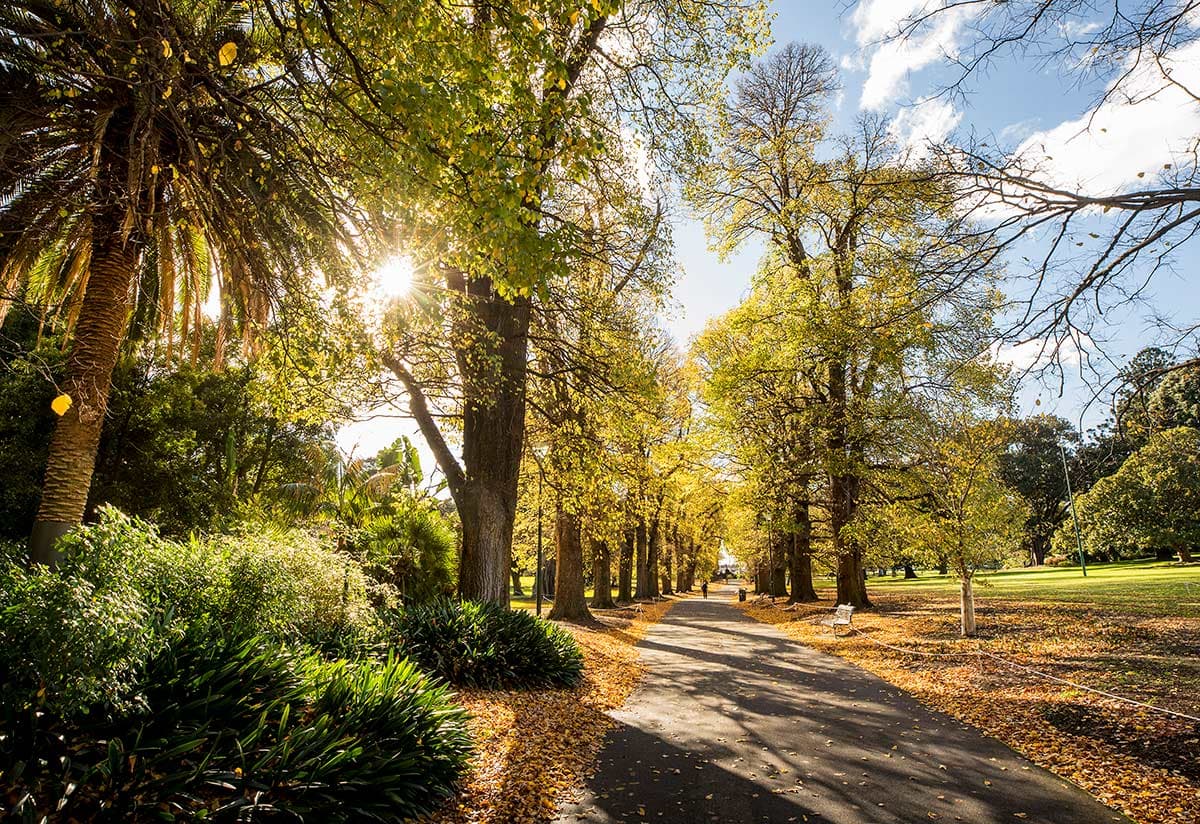 Fitzroy Gardens
