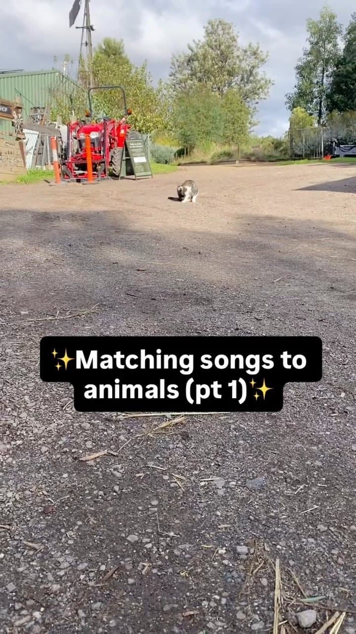 Collingwood Children's Farm