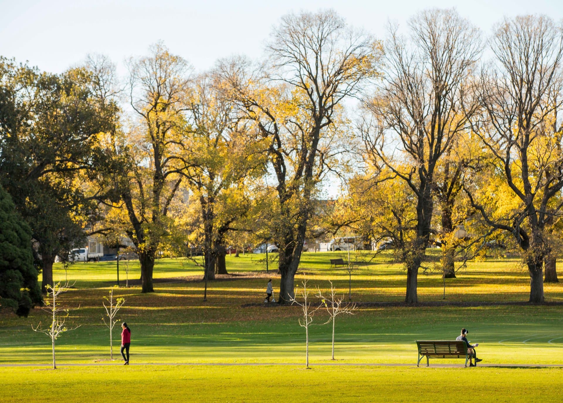 Fawkner Park