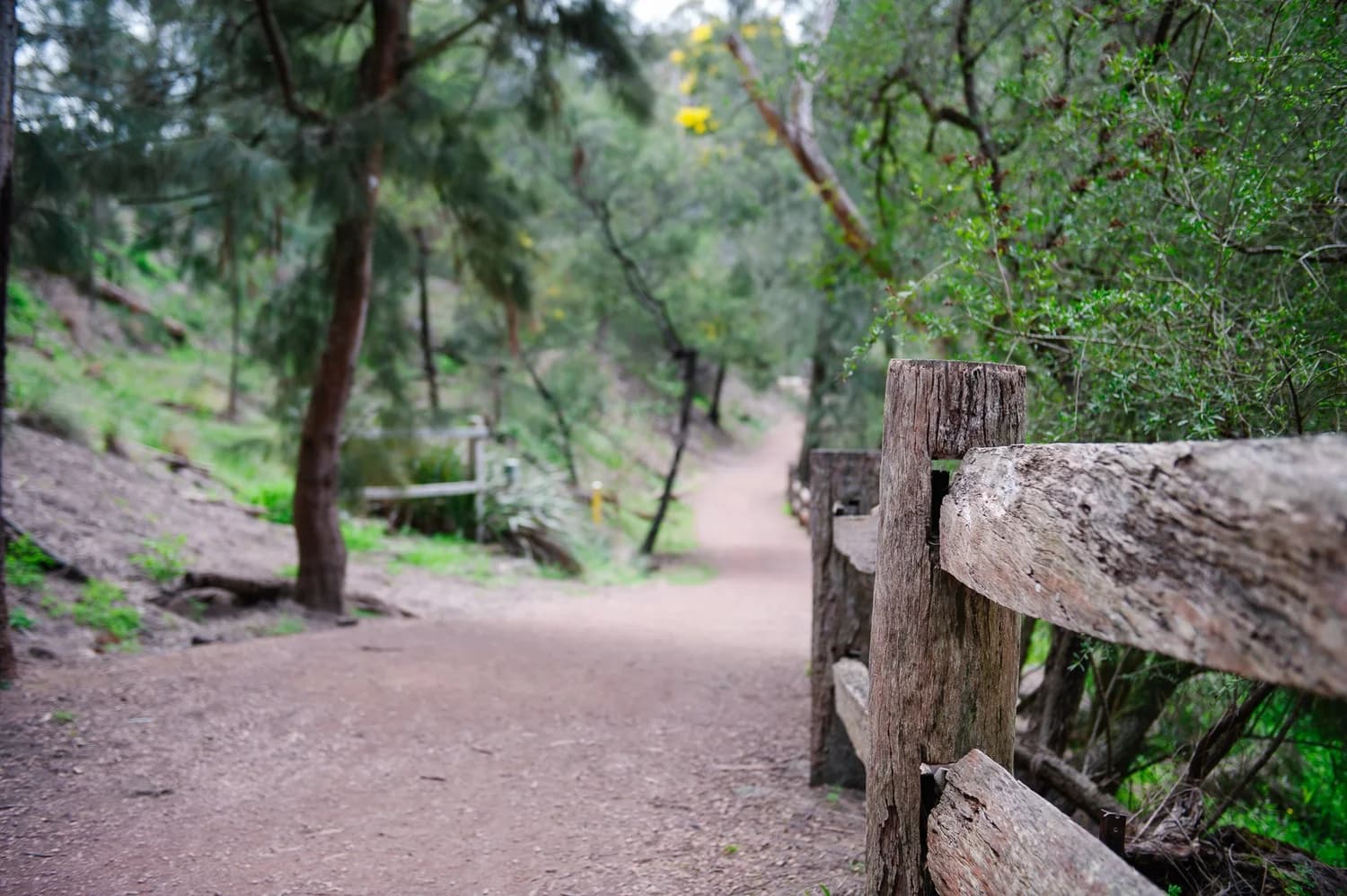 Yarran Dheran Nature Reserve