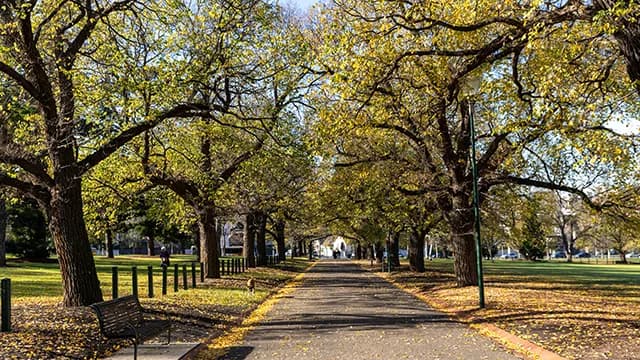 Yarra Park