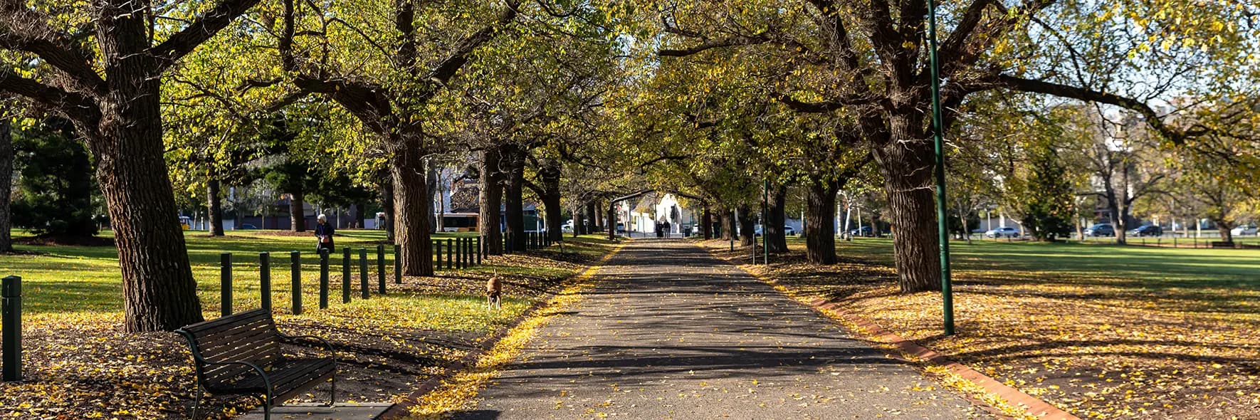 Yarra Park