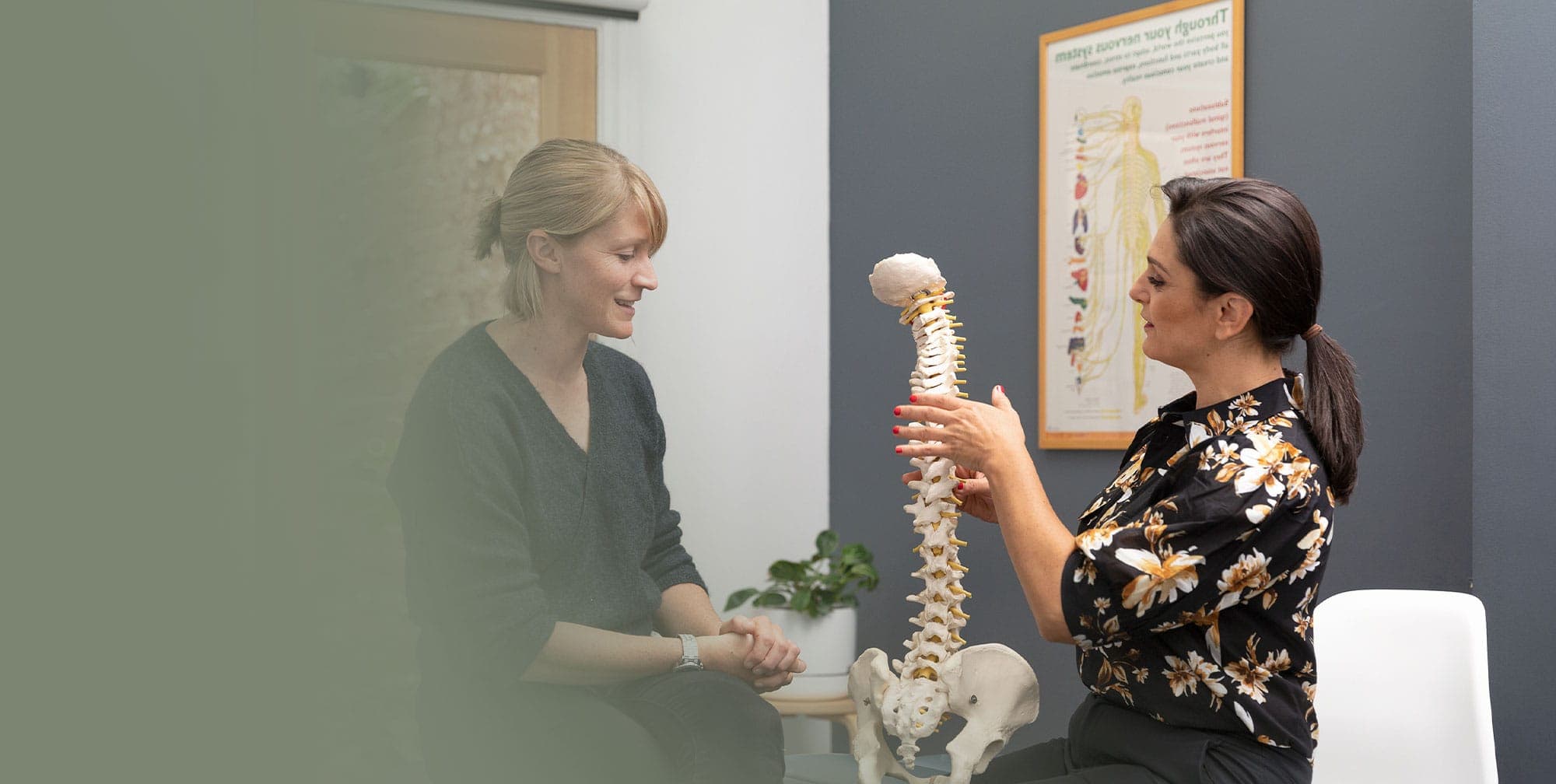 Nicholson Health & Wellness